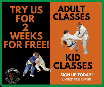 free ,martial arts class for two weeks